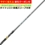 【9月発売予定】【クーポン付】タイトリスト各種対応スリーブ超激安カスタム エストリックス S-TRIXX Y …
