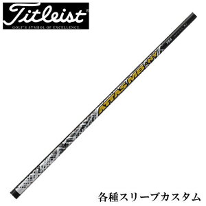 y12/1-31聜SiP3{iGg[vjz^CgXg[eBeBpΉX[ut Ab^X MB HY nCubh