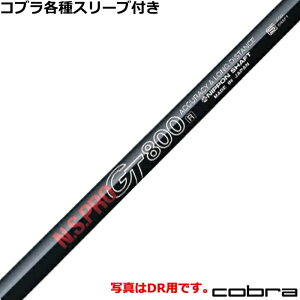 Ru RADSPEED eX[utVtg GT FWp 800 N.S.PRO {Vtg