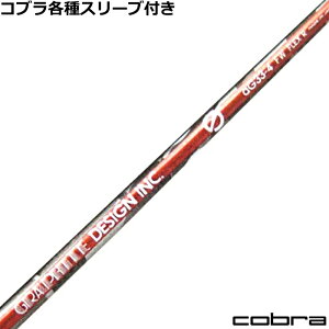 Ru RADSPEED eX[utVtg aG-33 FWp@Ot@CgfUC