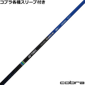 RuDS-ADAPTX[utVtg NVX JCU[ G REXIS KAIZA M lbNX