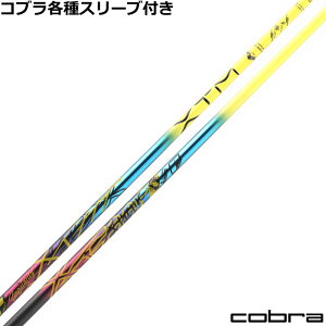 Ru DS-ADAPTX[utVtg oVEX XTM VMeB Singularity 300{胂f