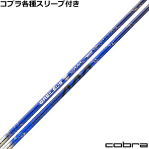 �y�|�C���g5�{�z�y����300�{�z�R�u�� DS-ADAPT�����X���[�u�t�V���t�g �o�V���E�X AAA Pro 2026 �g���v��A �v��