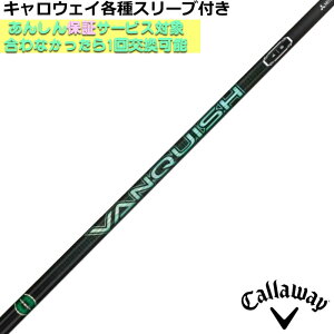 �e�[���[���C�h Qi4D Qi35�� �e�폃���X���[�u�t VANQUISH VV ���@���L�b�V�� ���B���B �O�H �S���t�V���t�g