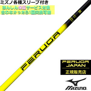 ~Ym JPX MPeX[utVtg FERUGA tFK NPS V[Y