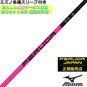 ~Ym JPX MPeX[utVtg FERUGA tFK TSS sN V[Y