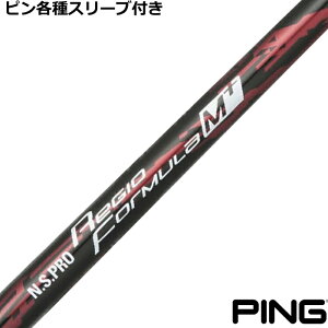 y12/1-31聜SiP3{iGg[vjzs G440 G430 eX[utVtg WI tH[~M{ivXj N.S.PRO Regio {Vtg