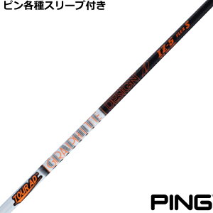 s G440 G430 eX[utVtg Tour AD IZ (cA[AD ACEYB[)@Ot@CgfUC