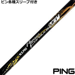 y12/1-31聜SiP3{iGg[vjzs G440 G430 eΉX[utVtg WI tH[~MB{ivXj N.S.PRO Regio {Vtg