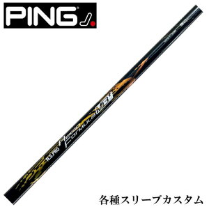 y12/1-31聜SiP3{iGg[vjzs G440 G430 eX[utVtg WI tH[~MB{ivXj N.S.PRO Regio {Vtg