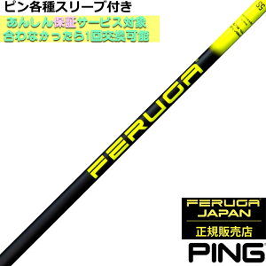 y12/1-31聜SiP3{iGg[vjzs G440 G430eΉX[utVtg FERUGA tFK PBS V[Y