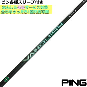 �y2/27-3/31���聜�S�i�|�C���g3�{(�G���g���[)�z�s�� G440 G430�� �e��X���[�u�t VANQUISH VV ���@���L�b�V�� ���B���B �O�H �S���t�V���t�g