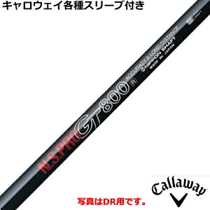 LEFC rbOo[T EPIC eX[ut JX^Vtg N.S.PRO GT FWp 800@{Vtg