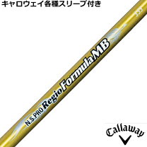 楽天市場】n．s．pro regio formula mb 65の通販