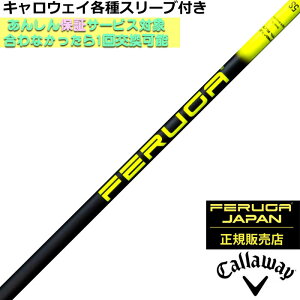 LEFC PARADYM MAVRIK [O eΉX[utVtg FERUGA tFK PBS V[Y