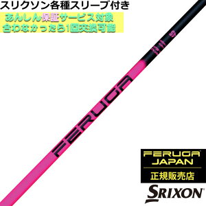 y12/1-31聜SiP3{iGg[vjzXN\ ZXV[YeΉX[utVtg FERUGA tFK TSS sN V[Y