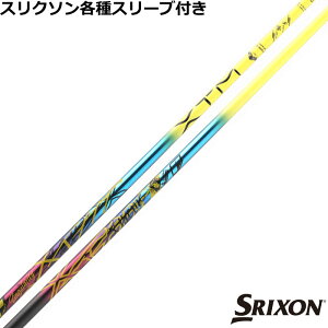 y12/1-31聜SiP3{iGg[vjzXN\ ZX eΉX[utVtg oVEX XTM VMeB Singularity 300{胂f