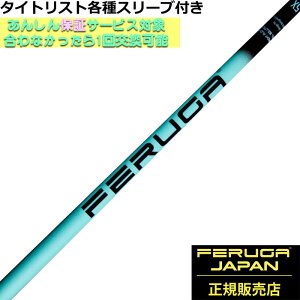 ^CgXg eX[utVtg FERUGA tFK TSS ~g V[Y