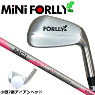 【6/1-6/30 エントリーでポイント3倍】ミニ FORLLY フォーリー #7×MCIプラクティス MCI PRACTICE IRON …