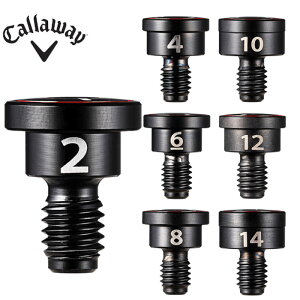 �y2/27-3/31���聜�S�i�|�C���g3�{(�G���g���[)�z�L�����E�F�C QUANTUM �N�A���^���p �X�N�����[�E�F�C�g