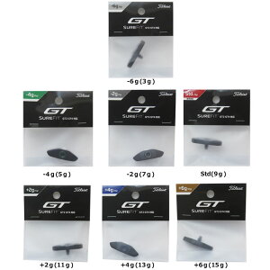 ^CgXg GT2 GT4 ΉEFCg hCo[p