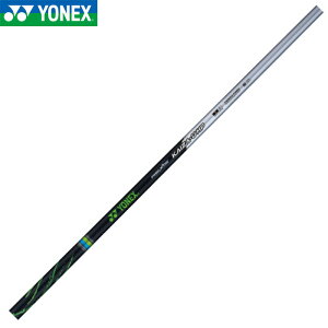 lbNX NVX JCU [ GC`s[ REXIS KAIZA U HP [eBeBp@yP̍wsz