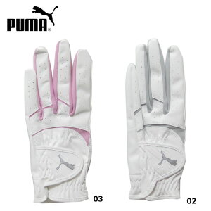 PUMA v[} 042112 EBY W t[W Obv O[u 3.0  StO[u