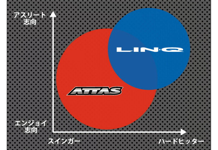 楽天市場】USTマミヤ リンク ブルー EX LIN-Q BLUE EX シャフト単体  