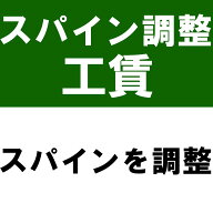 【先着限定最大5,000円OFFクーポン 10/18〜】スパイン調整工賃※本数分ご購入ください