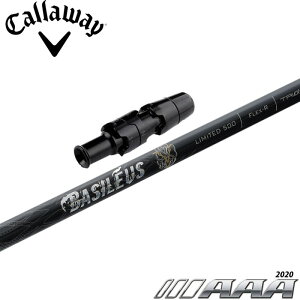 |Cg5{ y500{zLEFCpΉX[utVtg oVEX gvG[ 2020 Basileus AAA 2020