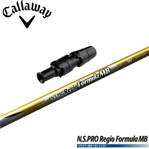 LEFCpΉX[utVtg {Vtg RegioFormula MBiWItH[~MBj