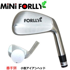 番手別販売 mini FORLLY ミニ フォーリー 練習用に最適！小型アイアンヘッド ヘッドのみ販売