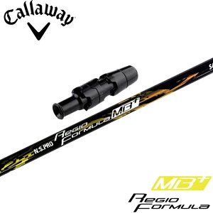 LEFCpΉX[utVtg {Vtg N.S.PRO WI tH[~ MB+ RegioFormula MB+