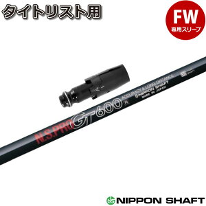 ^CgXgFWpX[utVtg {Vtg N.S.PRO GT600 FWp tFAEFCp