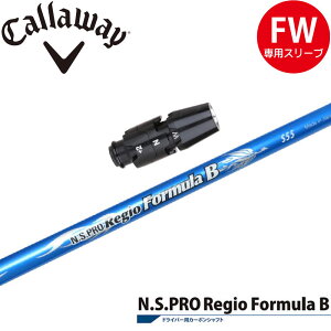 LEFCFWpOEMΉX[utVtg {Vtg WItH[~B RegioFomula B