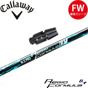 LEFCFWpOEMΉX[utVtg {Vtg WI tH[~ B+ N.S.PRO Regio Formula B+