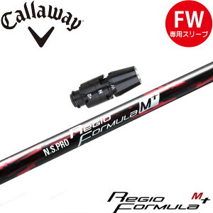 LEFCFWpOEMΉX[utVtg {Vtg WI tH[~ M+ N.S.PRO Regio Formula M+