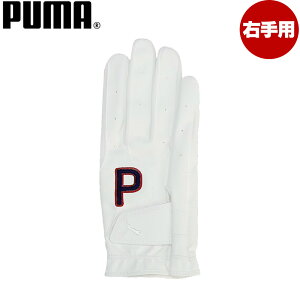 y9/1-30聚SiP3{ vGg[zPUMA 042019 Y St P O[u Ep v[} StO[u teBp teB[p 