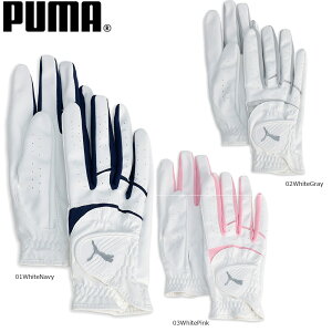 PUMA 042112 EBY St W t[W Obv v[}O[u 3.0 p