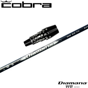 RuUSDSA_vgpX[utVtg OHP~J Diamana WB fBA}i WB {dl