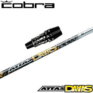 RuUSDSA_vgpX[utVtg UST}~ Ab^X _[X ATTAS DAAAS ATTAS12 {dl