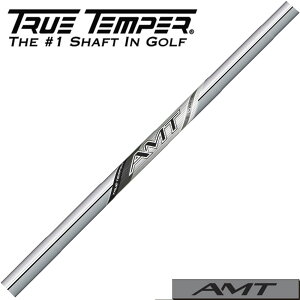 �y12/1-31���聜�S�iP3�{�i�G���g���[�v�j�z�y5-PW/6�{�Z�b�g�z�g�D���[�e���p�[ TRUE TEMPER 2025�N���f�� AMT SILVER AMT�V���o�[ ���{�d�l