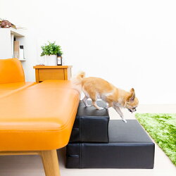 【クーポン対象】愛犬家が作った日本製ドッグステップ「CHITO」【犬階段ステップスロープクッションベッドソファカドラーヘルニア介護誕生日段差おしゃれ】【送料無料プレゼントギフトプチギフト北欧雑貨】