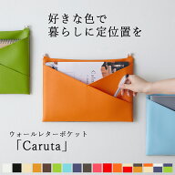ウォールポケット 「Caruta」 日本製 壁掛け収納 A4サイズ A5サイズ シンプル ドア 玄関 冷蔵庫横 おしゃ…