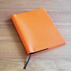 yV1 m[gJo[ 蒠Jo[ukanonv{ PVC U[ A5 B5 R   킢 yz_[ CITTA NOLTY 蒠 Jo[ 2023 2 v Vv RN Ǖi LOW oC_