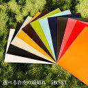 革 合皮 はぎれ 色が選べる5枚セット 日本製 撥水 抗菌 送料無料 福袋 PVCレザー レザークラフト はがわ セット ハンドメイド 北欧 端切れ ハギレ フェイクレザー 端革 A4 カットクロス hagire 端材 キット 可愛い初心者 手芸 はしぎれ 送料無料