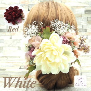  l   6_Zbg ݑ  čՂ ԉΑ   vU[uht[ hCt[ Ǝ   wA[ANZT[