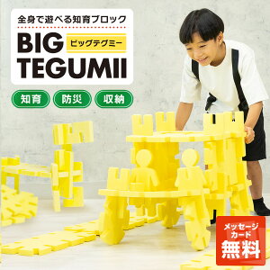 yn͂ފߋz mߋ rbOeO~[ TEGUMII ubN 104s[X 3 4 5 6 a̎q j̎q v[g Mtg ۈ牀 ct w  V pY ςݖ m炨