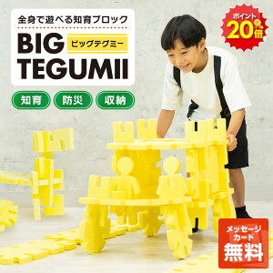 _X[p[SALEI|Cg20{^yn͂ފߋz mߋ rbOeO~[ TEGUMII ubN 104s[X 3 4 5 6 a̎q j̎q v[g Mtg ۈ牀 ct w 