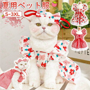 �y�b�g�� �h�b�O�E�F�A �y�b�g�� �t�� �y�b�g�� �t�� �ĕ� ���̕� �`���� �� �����i �M�t�g �v���[���g �a�����@�l�C �����^���^���^�� �h�b�O�E�F�A S-3XL ���� �� ���킢�� �M�t�g �v���[